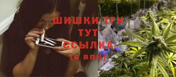 шишки Бугульма